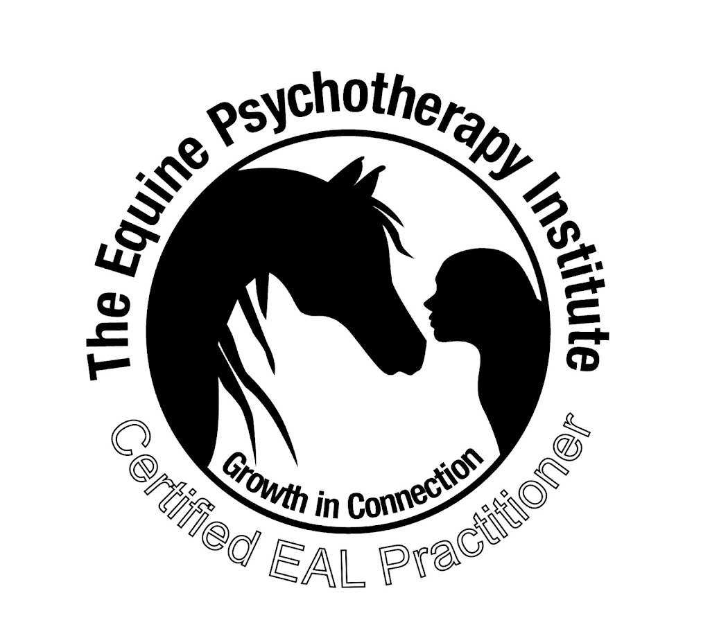 Black Horse Equine Assisted Learning | Bairnsdale School Rd, Yorklea NSW 2470, Australia | Phone: 0419 093 445