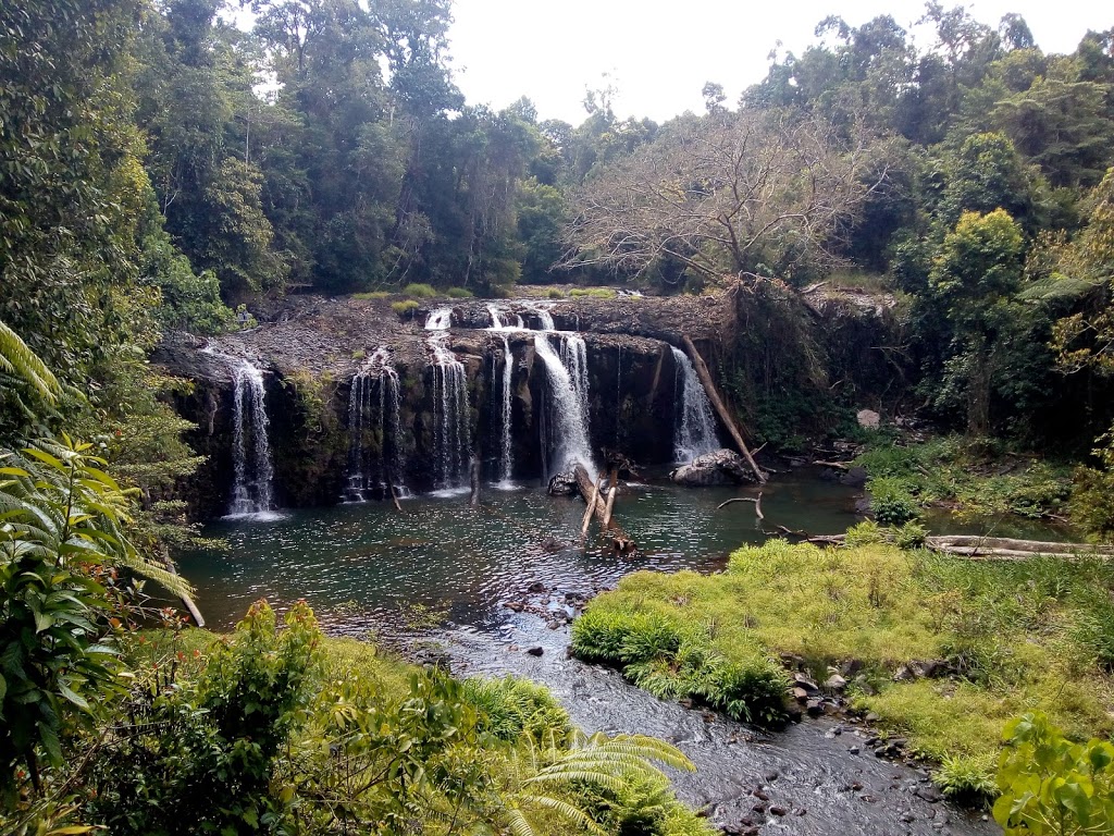 Tchupala Falls | tourist attraction | Palmerston Hwy, Wooroonooran QLD 4860, Australia | 137468 OR +61 137468
