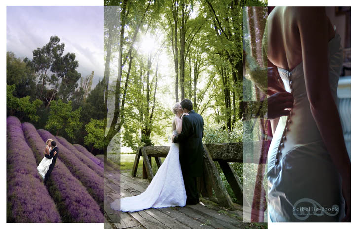 Anthony Scibelli Photograpy | 125 Whitegum Dr, Wheatsheaf VIC 3461, Australia | Phone: 0421 790 577