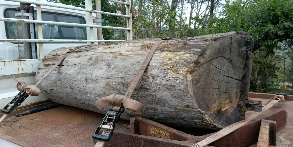 Bramwells Sawmilling | 1210 Upper Brogo Rd, Brogo NSW 2550, Australia | Phone: 0428 235 926