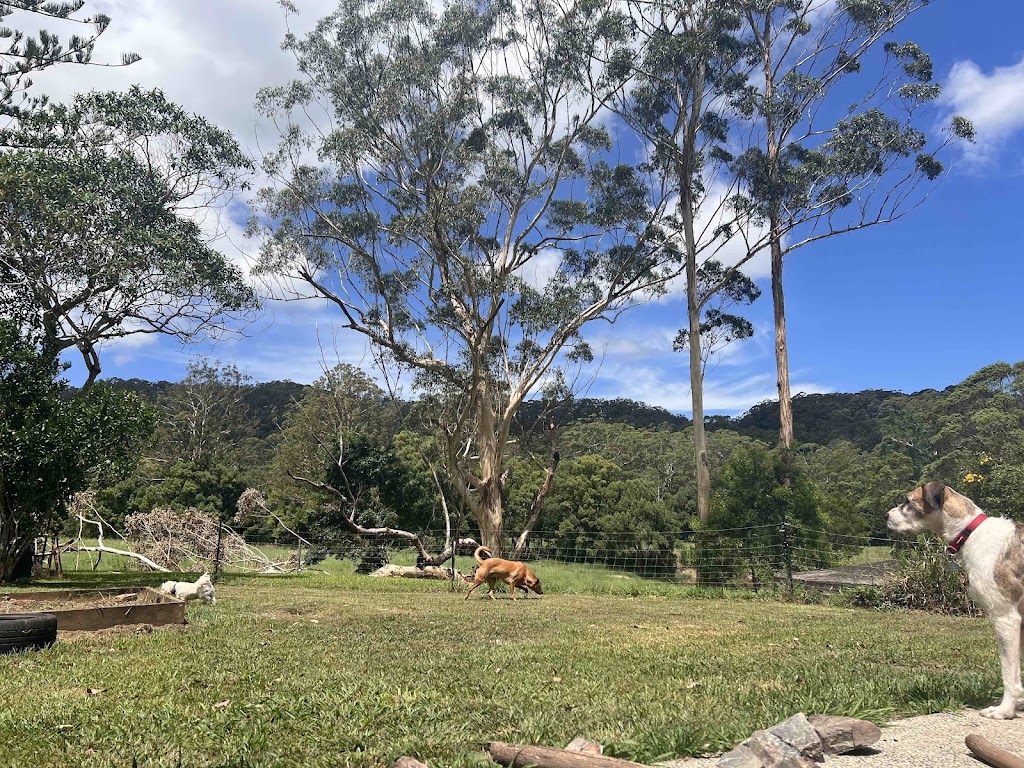 Calm Farm Dog Sitting | 52 Cudgera Creek Rd, Burringbar NSW 2483, Australia | Phone: 0416 924 028