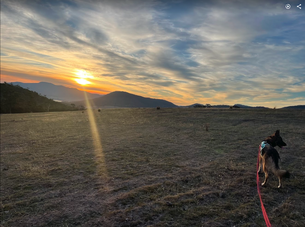 Friendly Tails | 115 Tempy Rd, Geilston Bay TAS 7015, Australia | Phone: 0420 701 993