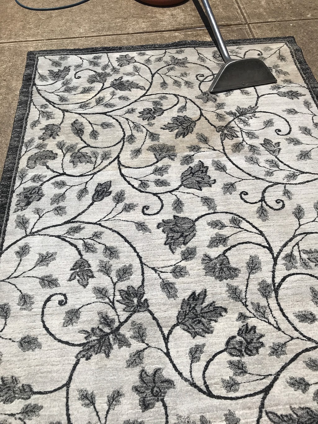 Palm Springs Carpet Cleaning | 99 Black Rd, Flagstaff Hill SA 5159, Australia | Phone: 0411 404 989