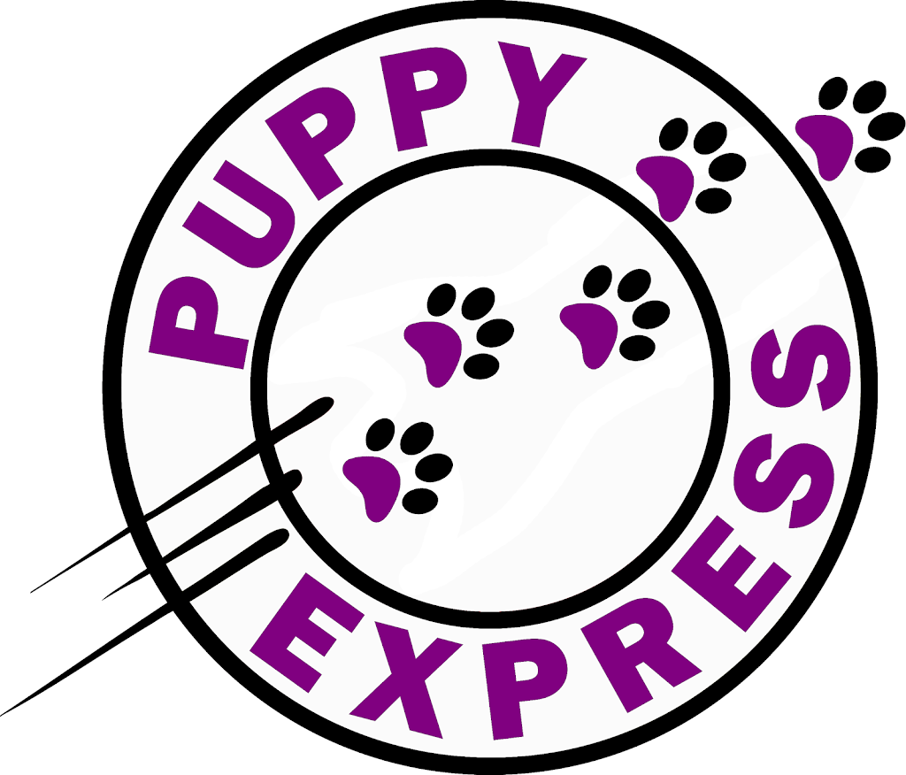 Puppy Express Pet Services |  | 48, Branxton NSW 2335, Australia | 0431901627 OR +61 431 901 627