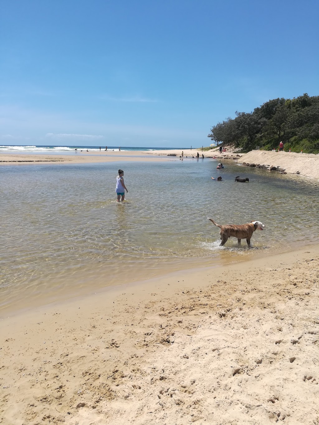 Stumers Creek Dog Offleash Area | park | Stumers Creek Rd, Coolum Beach QLD 4573, Australia