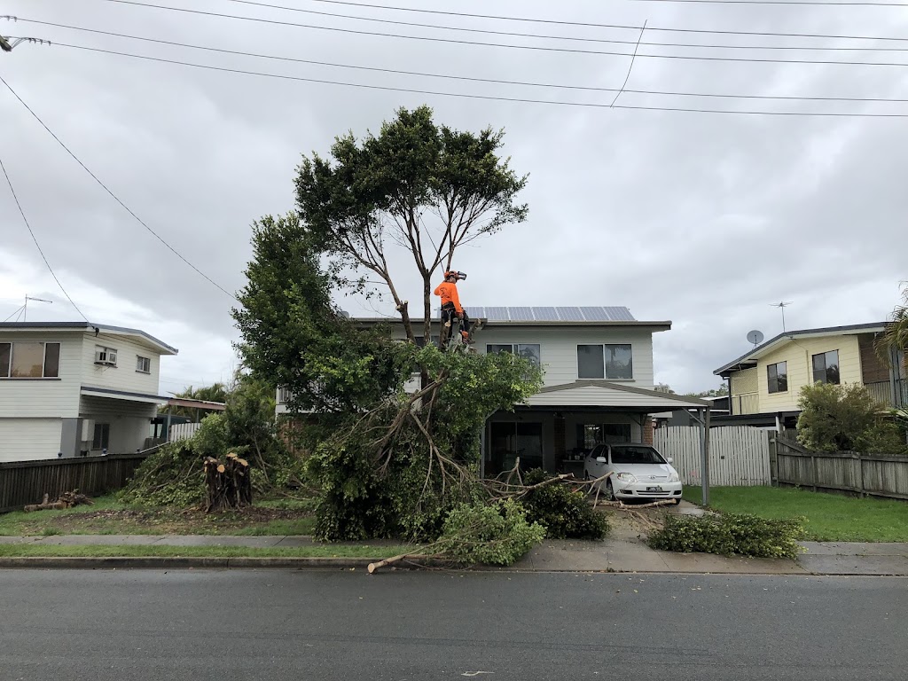 Arborteck tree services | 11a Mia St, Kallangur QLD 4503, Australia | Phone: 0422 241 263