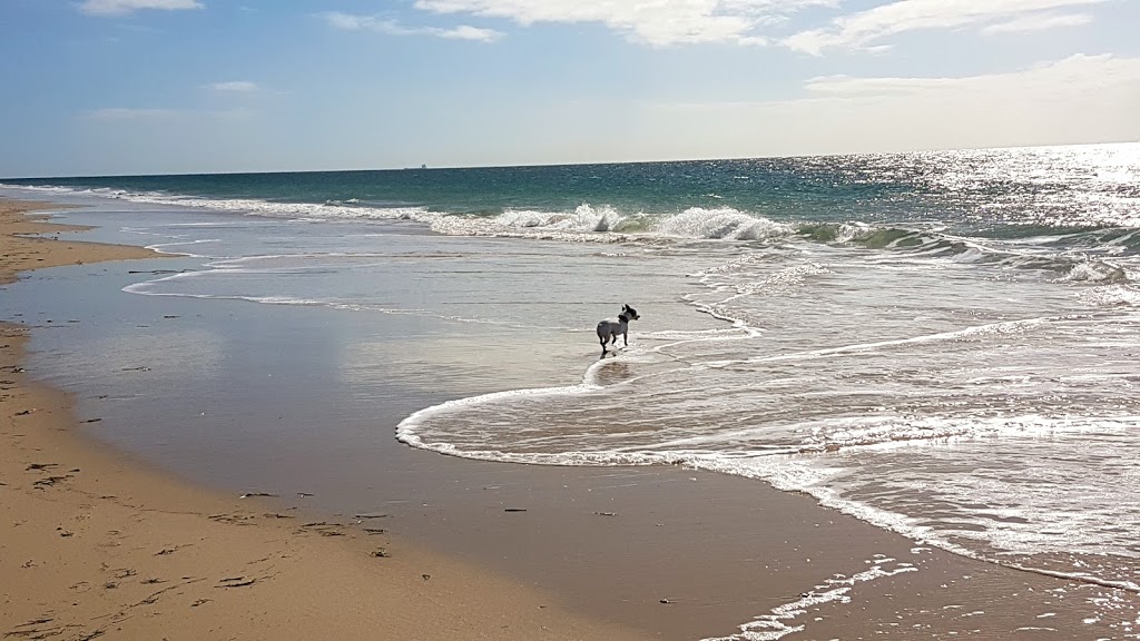 Dog Beach Part Of Red Beach | park | Benalong St, Woorim QLD 4507, Australia