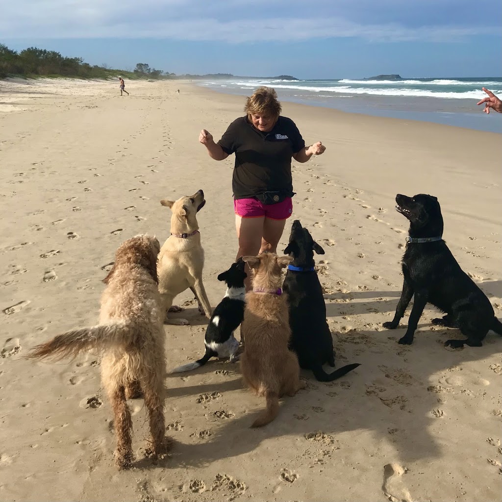 Mad Dogs & Englishmen Tweed Gold Coast Dog Walking Doggy Daycare | U19/14 Lorikeet Dr, Tweed Heads South NSW 2486, Australia | Phone: 0413 469 841