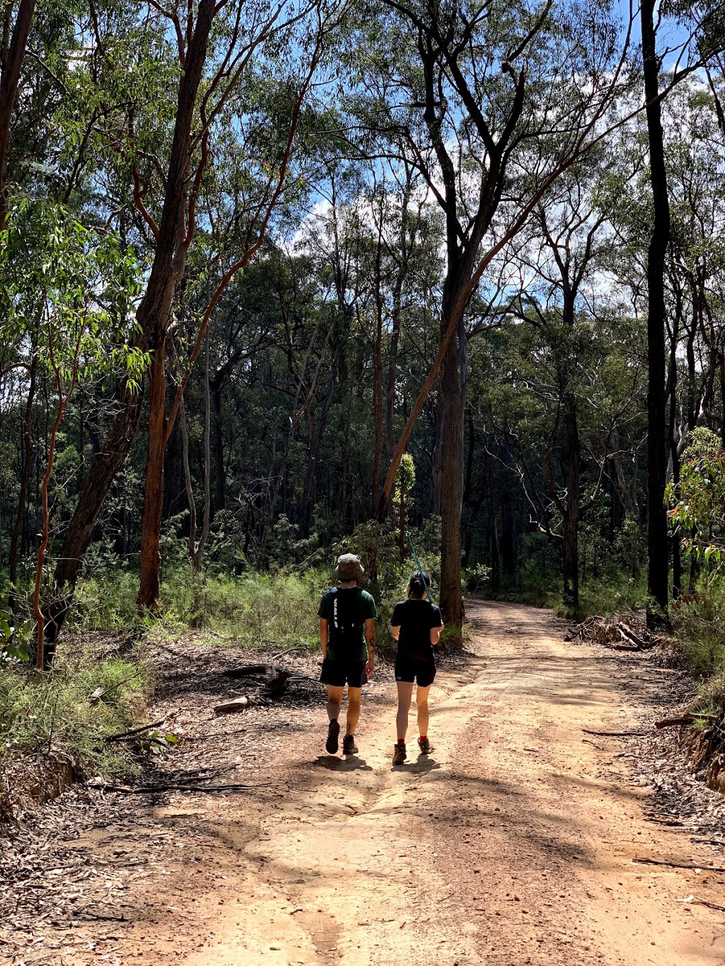 Tunnel View Lookout | Glenbrook NSW 2787, Australia | Phone: (02) 4720 6200