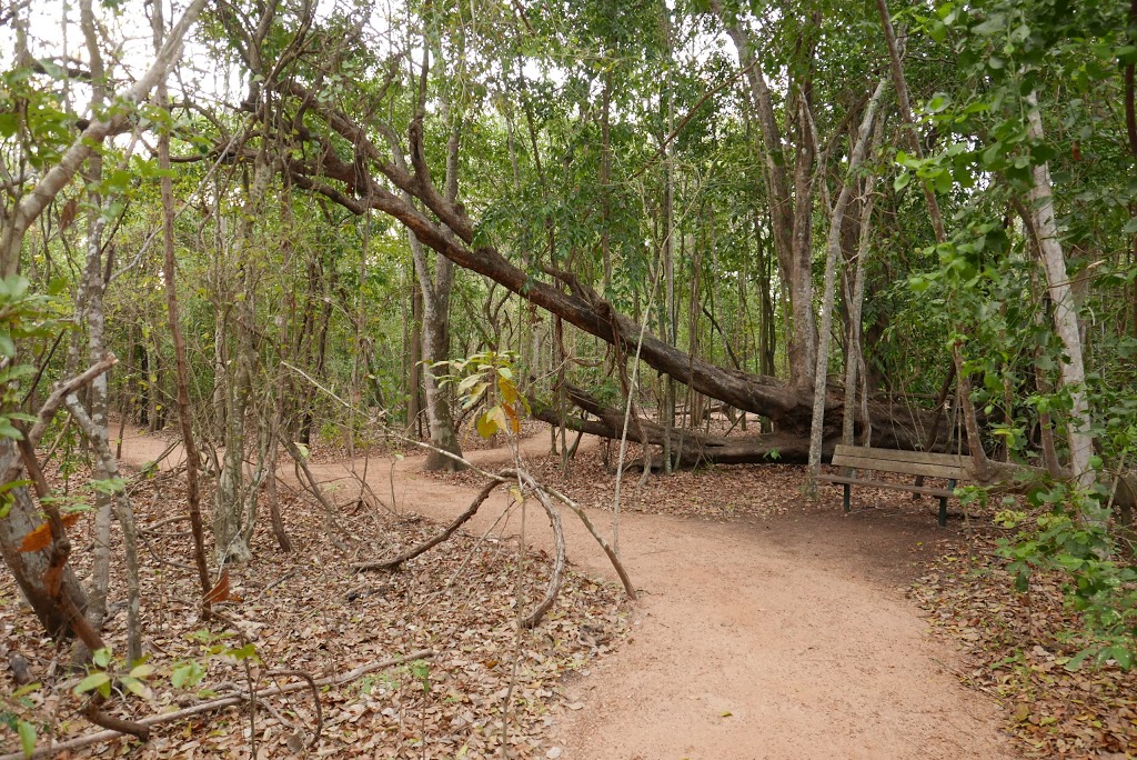East Point Reserve | park | East Point NT 0820, Australia | 0889300300 OR +61 8 8930 0300
