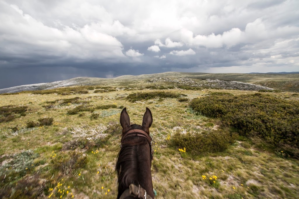 Bogong Horseback Adventures | travel agency | 52 Fredas Ln, Tawonga VIC 3697, Australia | 0357544849 OR +61 3 5754 4849