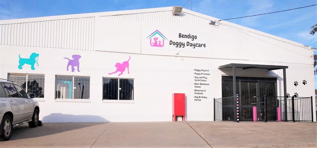 Bendigo Doggy Daycare | 19 Deborah St, Golden Square VIC 3555, Australia | Phone: 0484 919 177