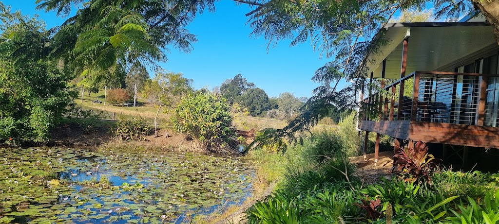 Lilypad Stay | 950 Rodeo Dr, Tewinga NSW 2449, Australia | Phone: 0414 475 085