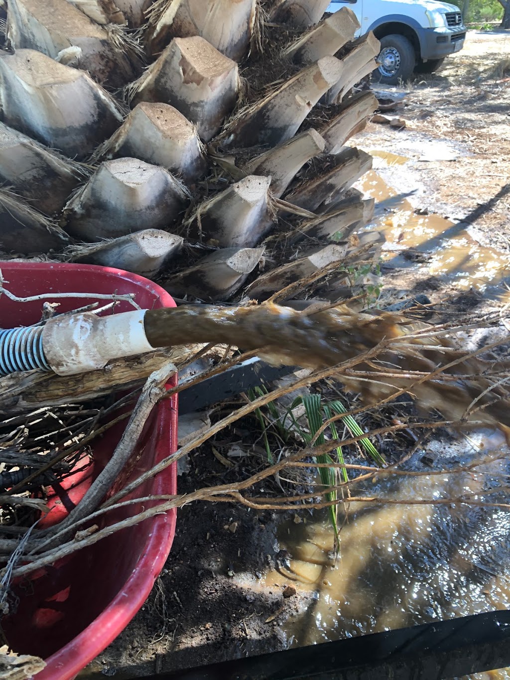 Magic Touch Tank Cleaning And Garden Care |  | 94 Fiddlewood Dr, Freeling SA 5327, Australia | 0417839801 OR +61 417 839 801