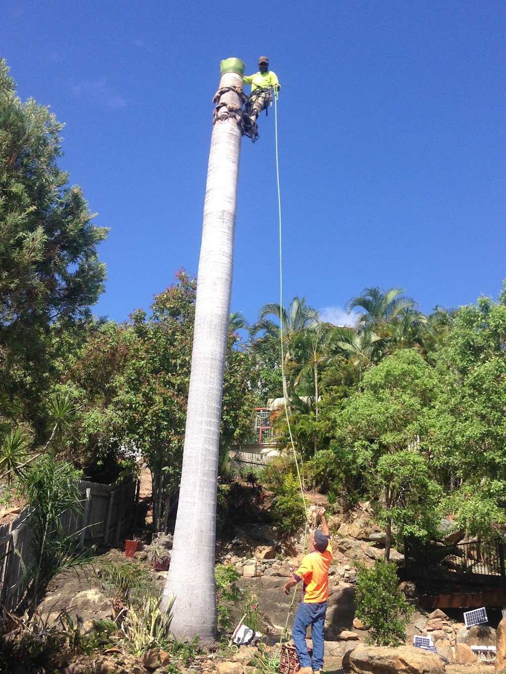 Chop N Chip Tree Fellas |  | 1 Bougainville St, Roseneath QLD 4810, Australia | 0412180033 OR +61 412 180 033