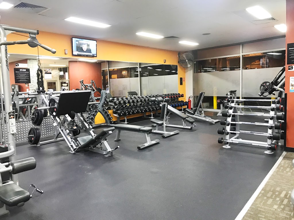 6 Day Anytime Fitness Gyms Melbourne for Weight Loss