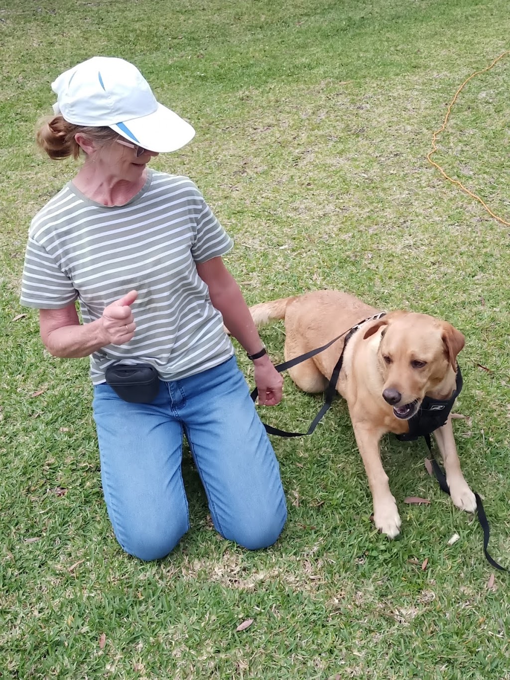 Clever Pup Dog Training, Daycare & Train plus Training Supplies | 2B Morgans Rd, Sandy Beach NSW 2456, Australia | Phone: 0412 050 279