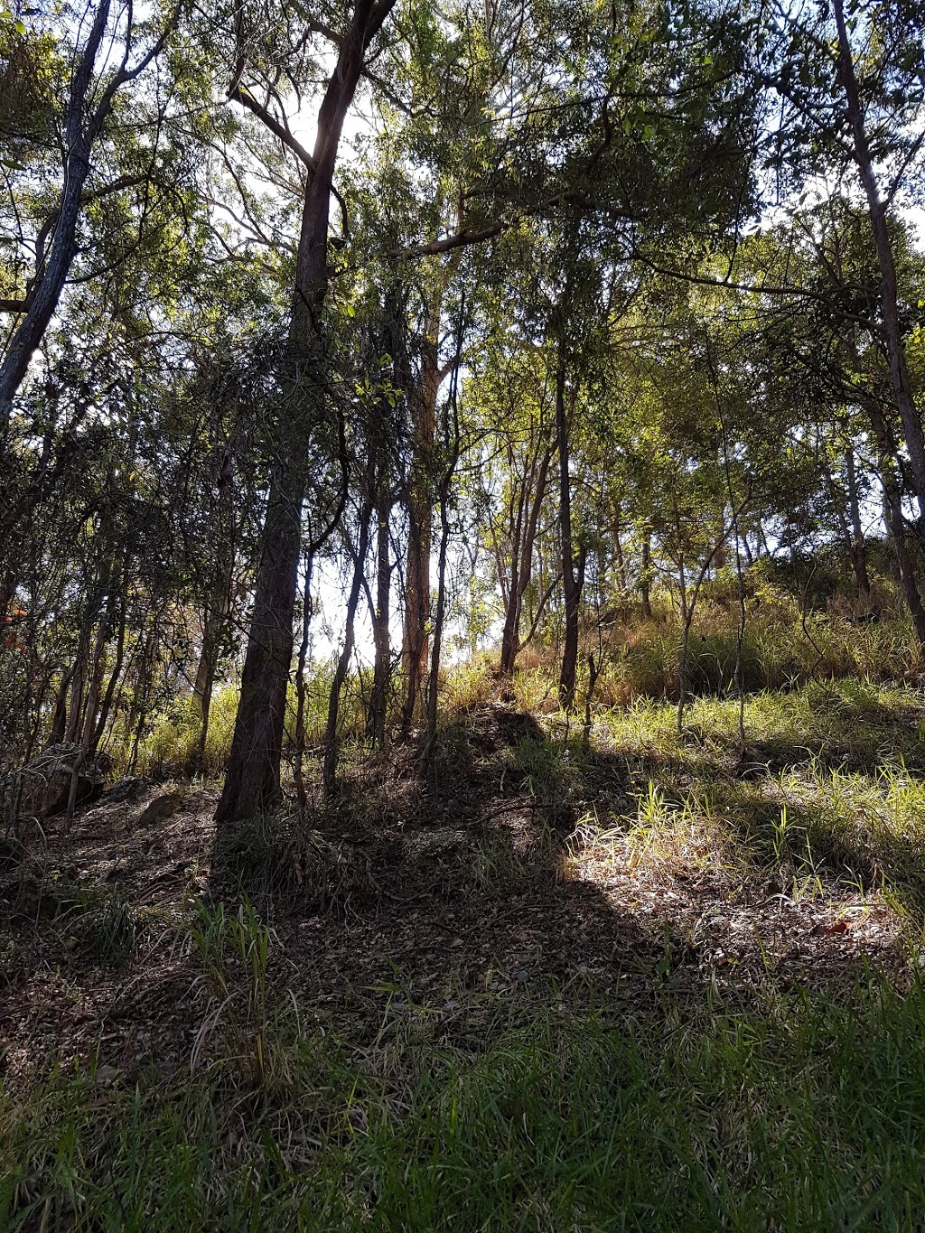 Sparkes Hill Reservoirs | park | Stafford QLD 4053, Australia