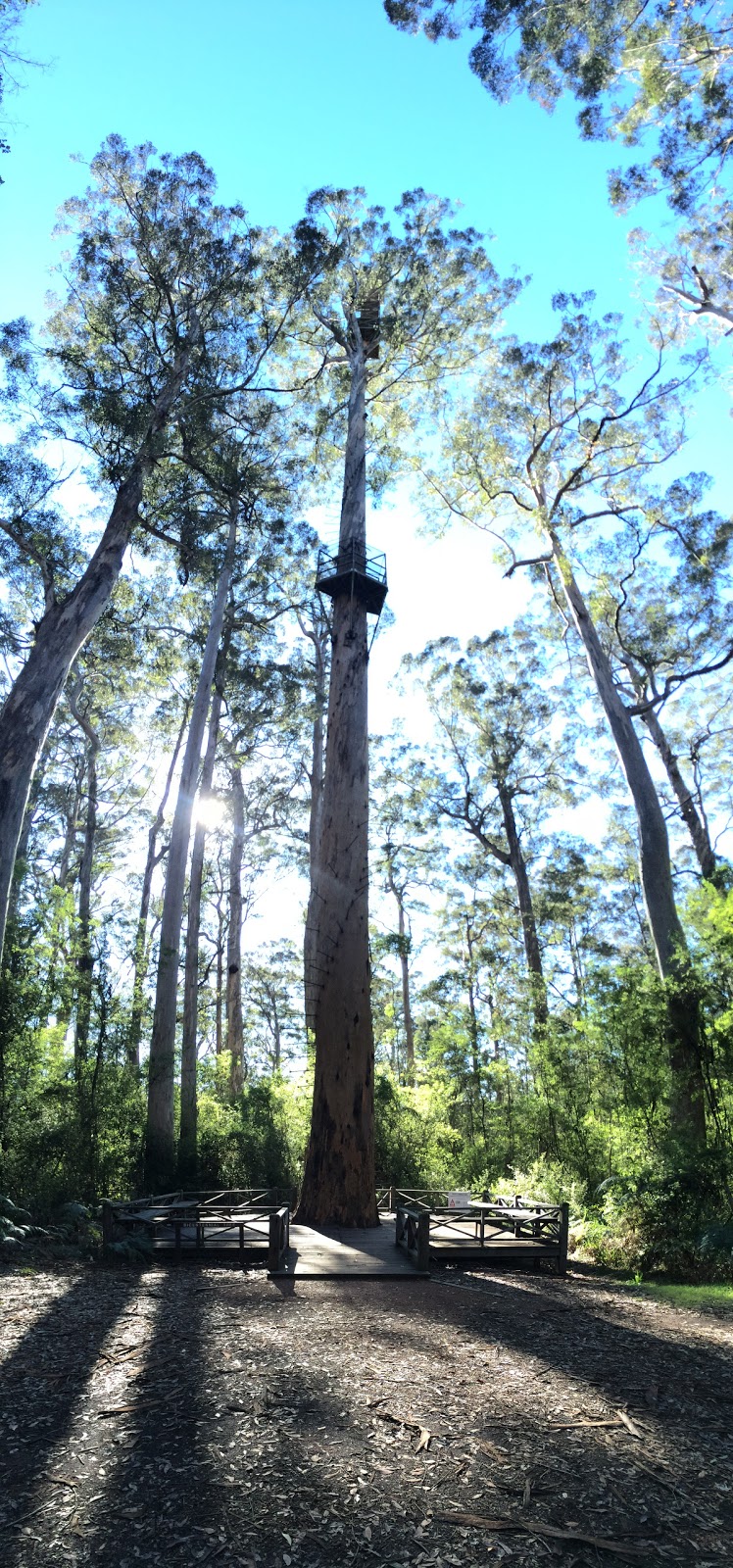 Warren National Park | park | Heart Break Trail, Yeagarup WA 6260, Australia | 0897761207 OR +61 8 9776 1207