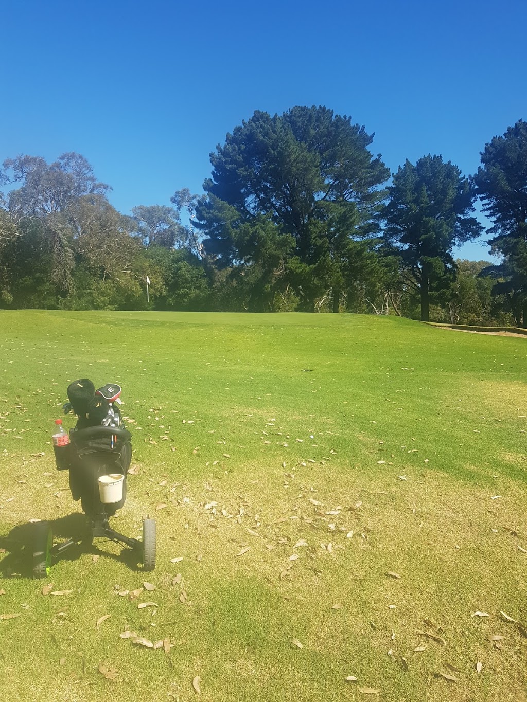 Cerberus Golf Club | Cayley Ave, Hmas Cerberus VIC 3920, Australia | Phone: (03) 5983 6006
