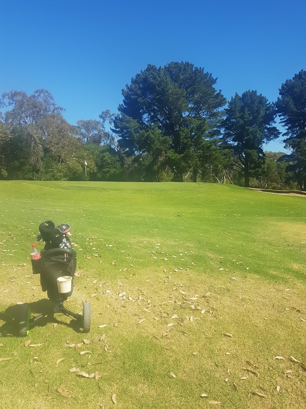 Cerberus Golf Club |  | Cayley Ave, Hmas Cerberus VIC 3920, Australia | 0359836006 OR +61 3 5983 6006