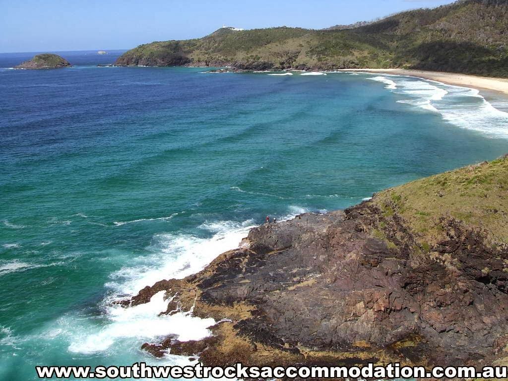 South West Rocks Accommodation | real estate agency | 11 Paragon Ave, South West Rocks NSW 2431, Australia | 0265666116 OR +61 2 6566 6116