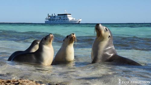 Eco Abrolhos | tourist attraction | 6 Baker St, Geraldton WA 6530, Australia | 0899645101 OR +61 8 9964 5101