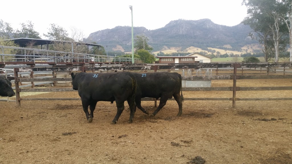 Gloucester Saleyards | Cemetery Rd, Gloucester NSW 2422, Australia | Phone: (02) 6538 5250