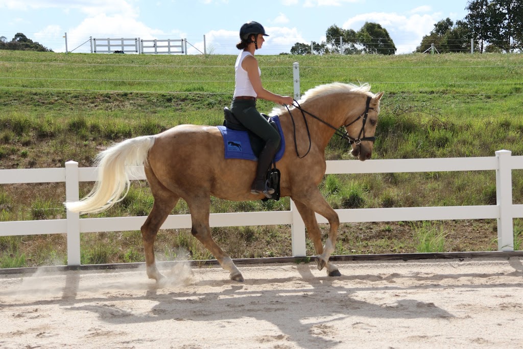 GrandView Sport Horses | 65 Landale Rd, Tooradin VIC 3980, Australia | Phone: 0420 903 789