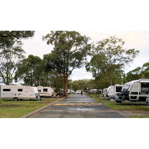 Lane Cove River Tourist Park | campground | 13 Plassey Rd, Macquarie Park NSW 2113, Australia | 0298889133 OR +61 2 9888 9133