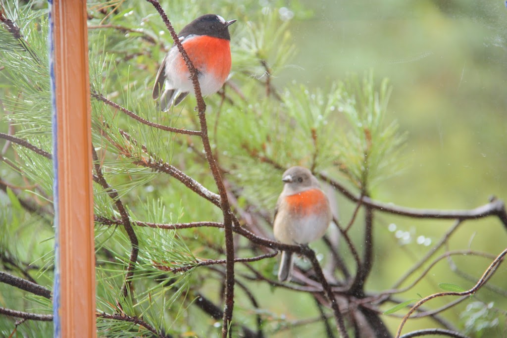 Inside Outside Gallery | 470 Nierinna Rd, Margate TAS 7054, Australia | Phone: 0416 126 130