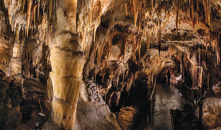 Jillabenan Cave | tourist attraction | Jillaben Cave Walking Track, Yarrangobilly NSW 2720, Australia | 0264549597 OR +61 2 6454 9597