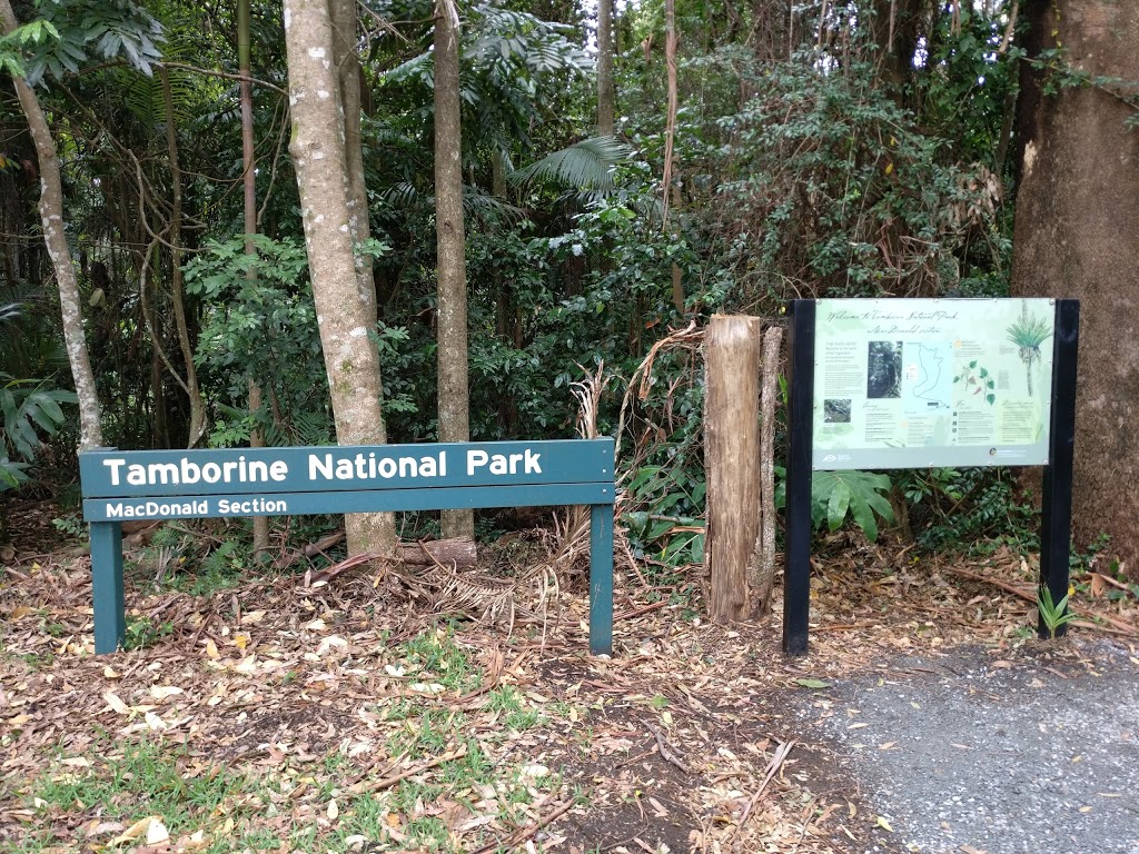 Tamborine National Park MacDonald Section | park | Wongawallan Rd, Tamborine Mountain QLD 4272, Australia | 137468 OR +61 137468