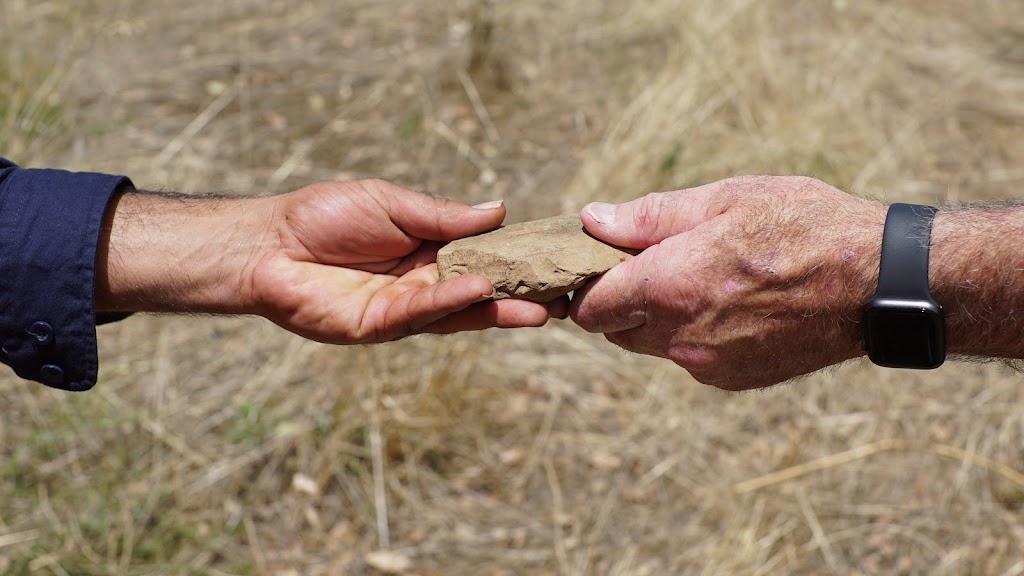 Artefact Heritage and Environment | Unit 71/8 Spit Island Cl, Mayfield West NSW 2304, Australia | Phone: (02) 9518 8411