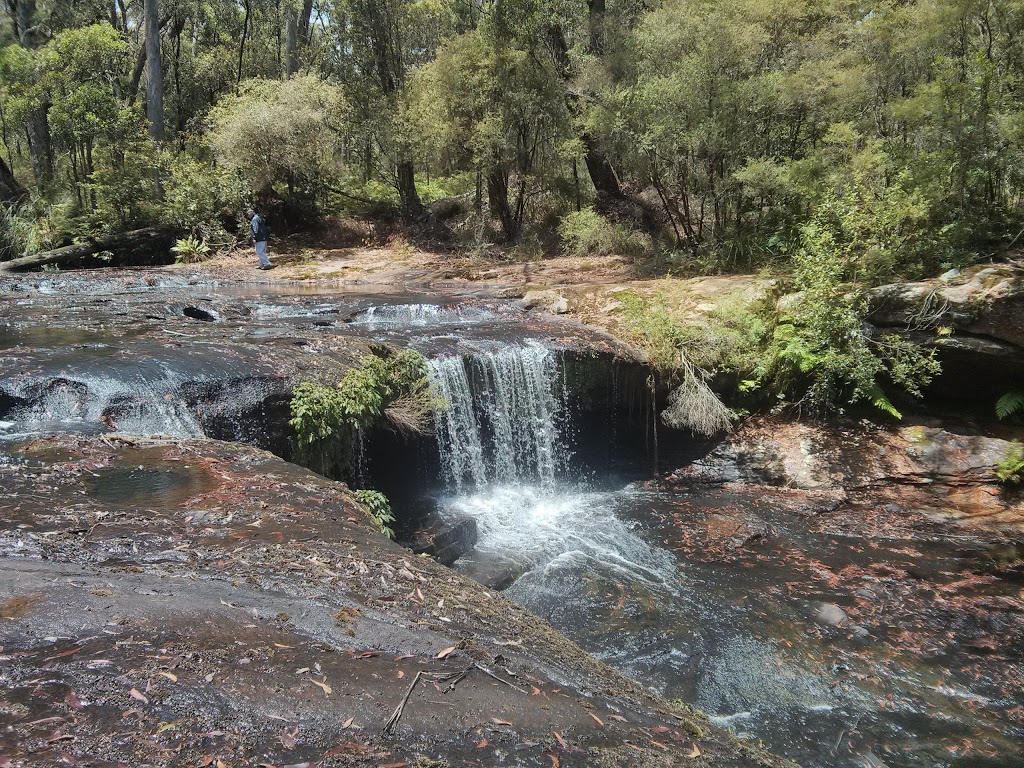 Yarrawa State Forest | park | Robertson NSW 2577, Australia