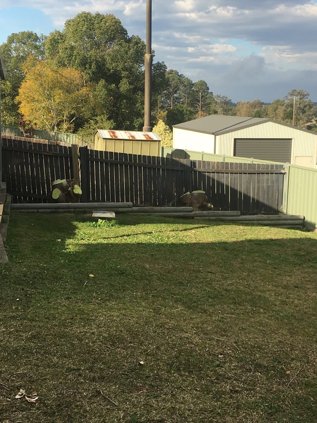 Dons Mowing & Yard Maintenance | general contractor | 2 Cod Pl, South West Rocks NSW 2431, Australia | 0407927350 OR +61 407 927 350