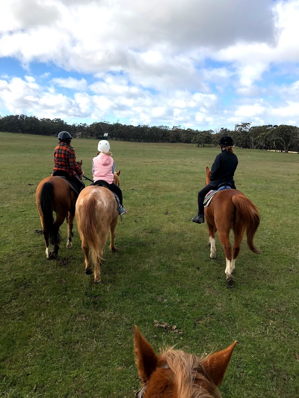 Doran Park Trail Rides | Mt Doran-Egerton Rd, Mount Doran VIC 3334, Australia | Phone: (03) 5341 5588