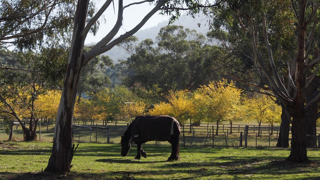 Mount Macedon Golf Club |  | 560 Mount Macedon Rd, Mount Macedon VIC 3441, Australia | 0354261650 OR +61 3 5426 1650