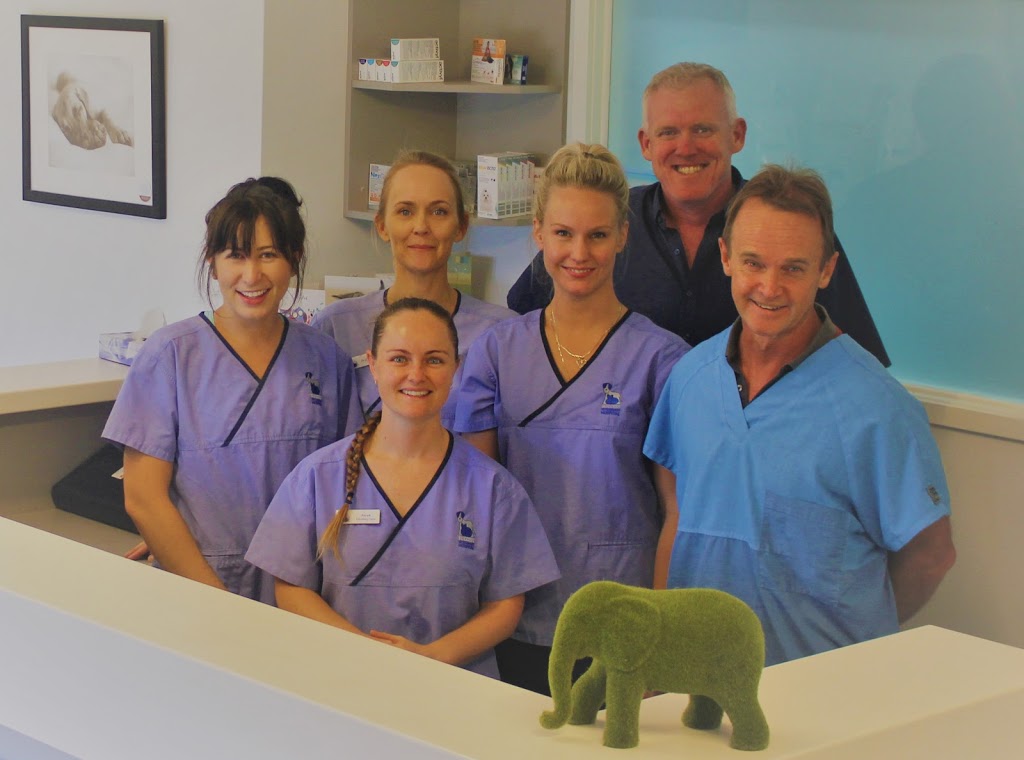Success Veterinary Hospital | 93 Hammond Rd, Cockburn Central WA 6164, Australia | Phone: (08) 9414 9888