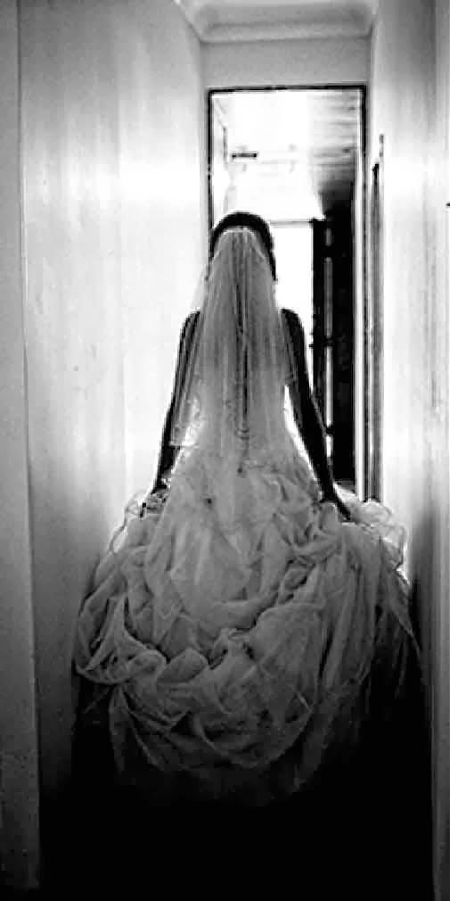 Thats Me Photography | 122 Diana Cres, Postmans Ridge QLD 4352, Australia | Phone: 0434 093 118