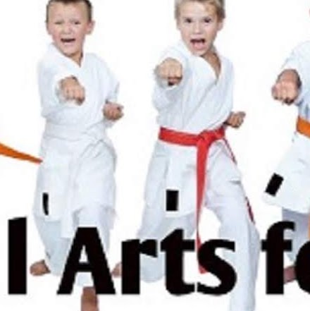Team Martial Arts | health | Barley street, Spring Farm NSW 2570, Australia | 0413146301 OR +61 413 146 301