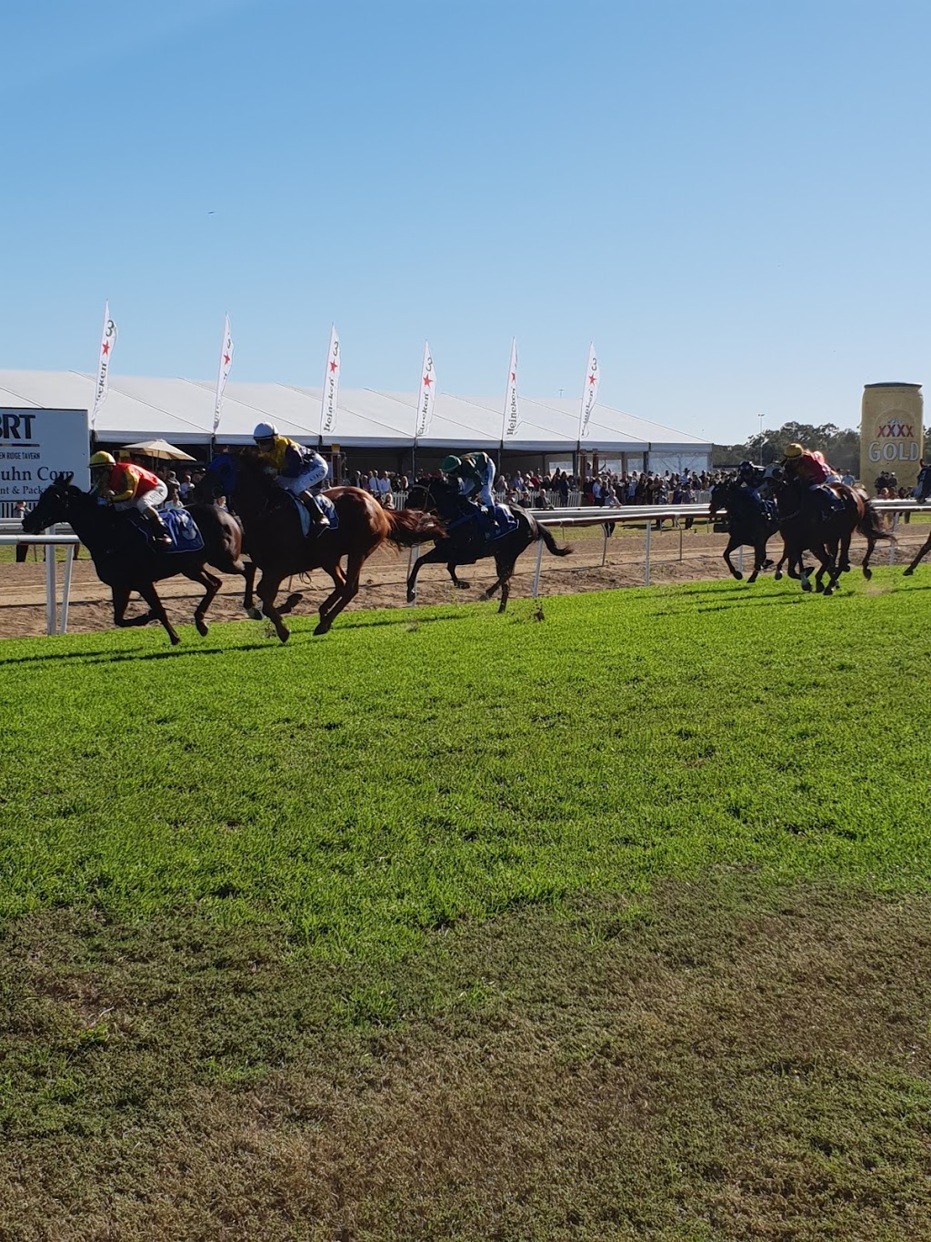Racing Queensland | local government office | LOT 2 Racecourse Rd, Deagon QLD 4017, Australia | 0738699777 OR +61 7 3869 9777
