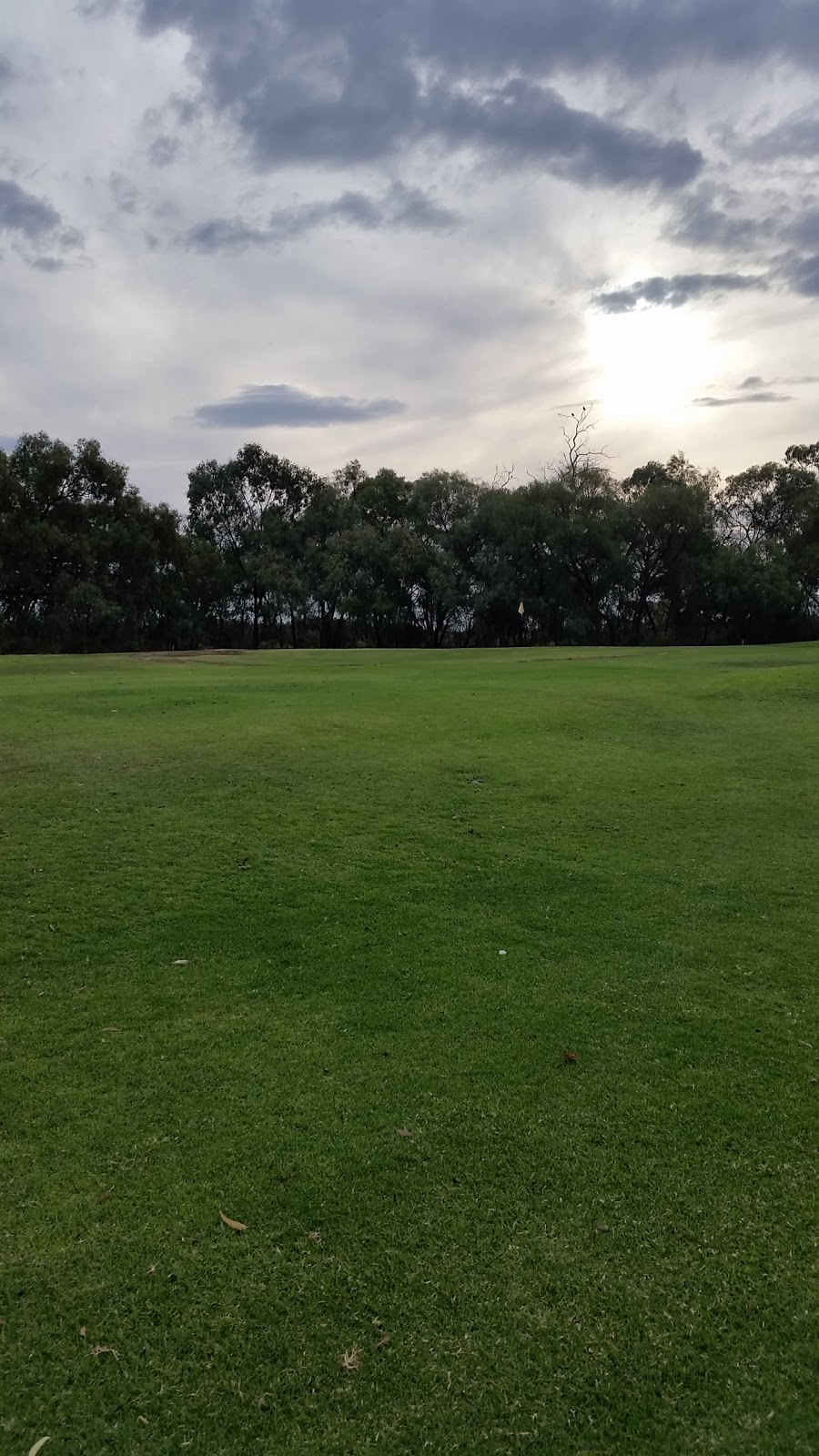 Wentworth Sporting Complex Golf Club |  | Beverley St, Wentworth NSW 2648, Australia | 0350272325 OR +61 3 5027 2325