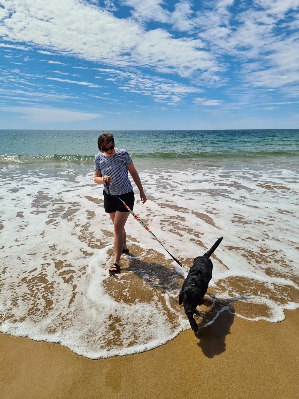 Working Wonders Dog Training |  | Pleasant Dr, Sharon QLD 4670, Australia | 0418279009 OR +61 418 279 009