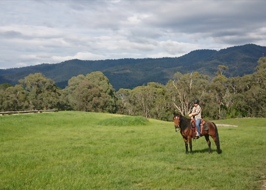 Anne Timewell Horsemanship | Mountain Creek Rd, Tawonga VIC 3697, Australia | Phone: 0409 150 801