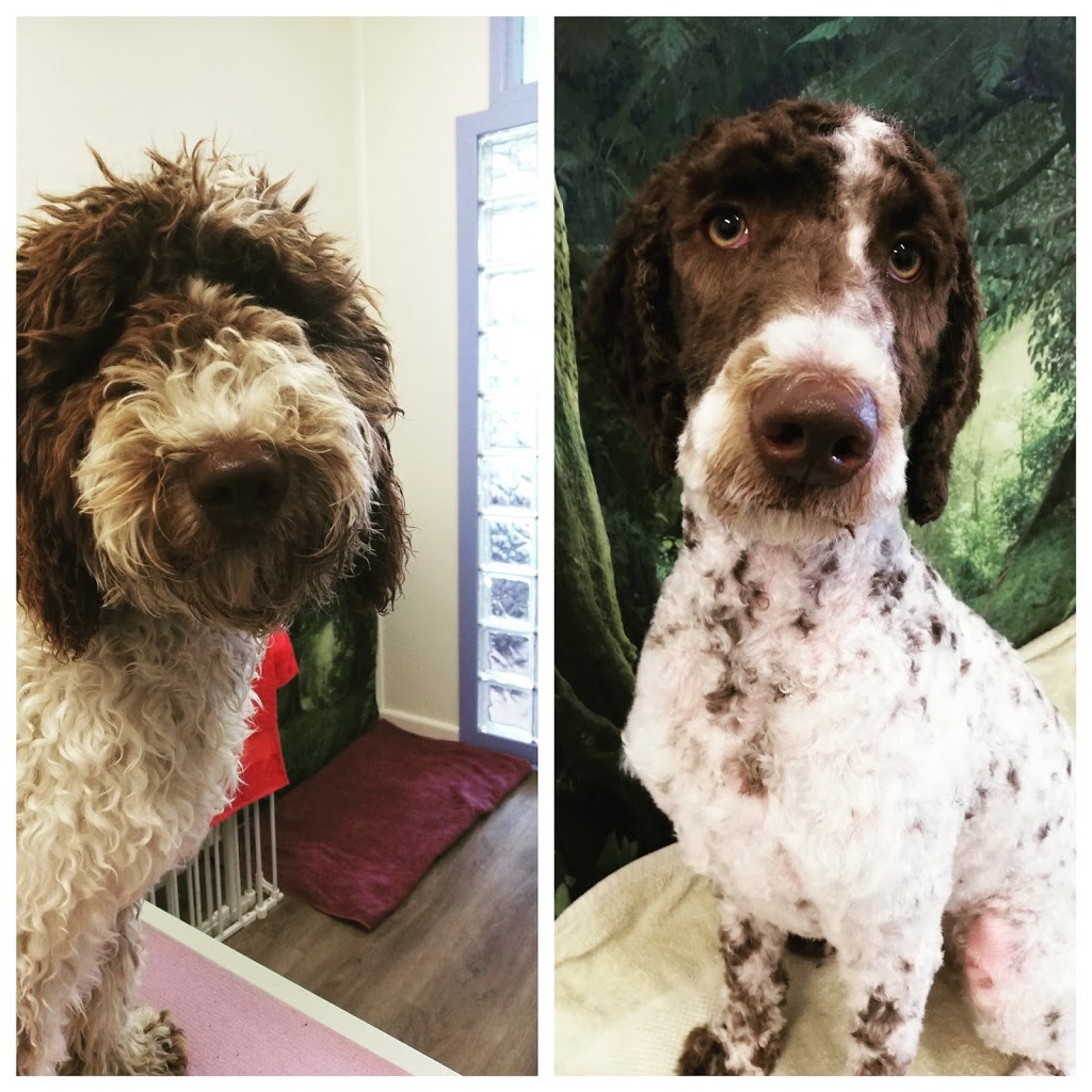 Wigglebum Grooming |  | 28 Docker St, Marks Point NSW 2280, Australia | 0491605492 OR +61 491 605 492