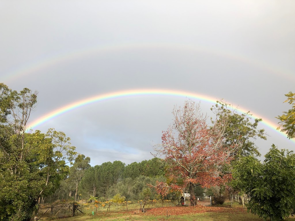 Talai Estate Winery | 748 Wisemans Ferry Rd, South Maroota NSW 2756, Australia | Phone: (02) 4572 8493