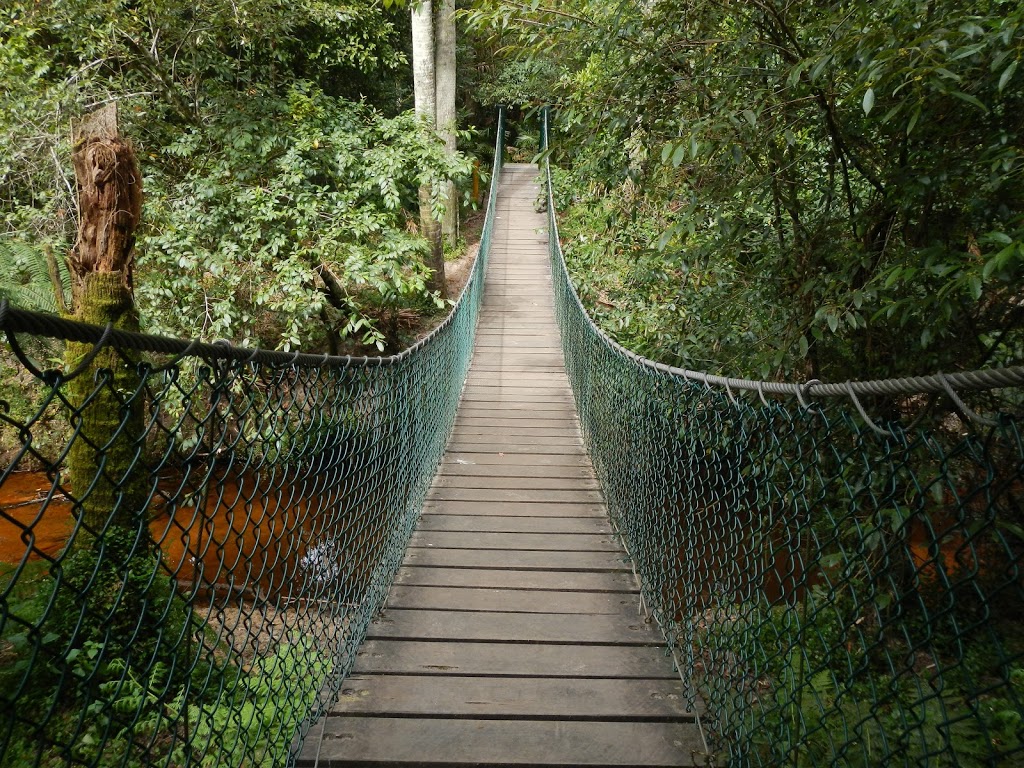 Strickland State Forest | Strickland Forest Rd, Somersby NSW 2250, Australia | Phone: 1300 655 687