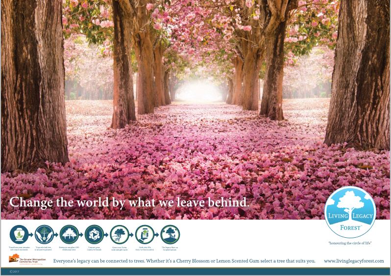 Living Legacy Forest | 125 Tyabb-Tooradin Rd, Somerville VIC 3912, Australia | Phone: 0439 927 736