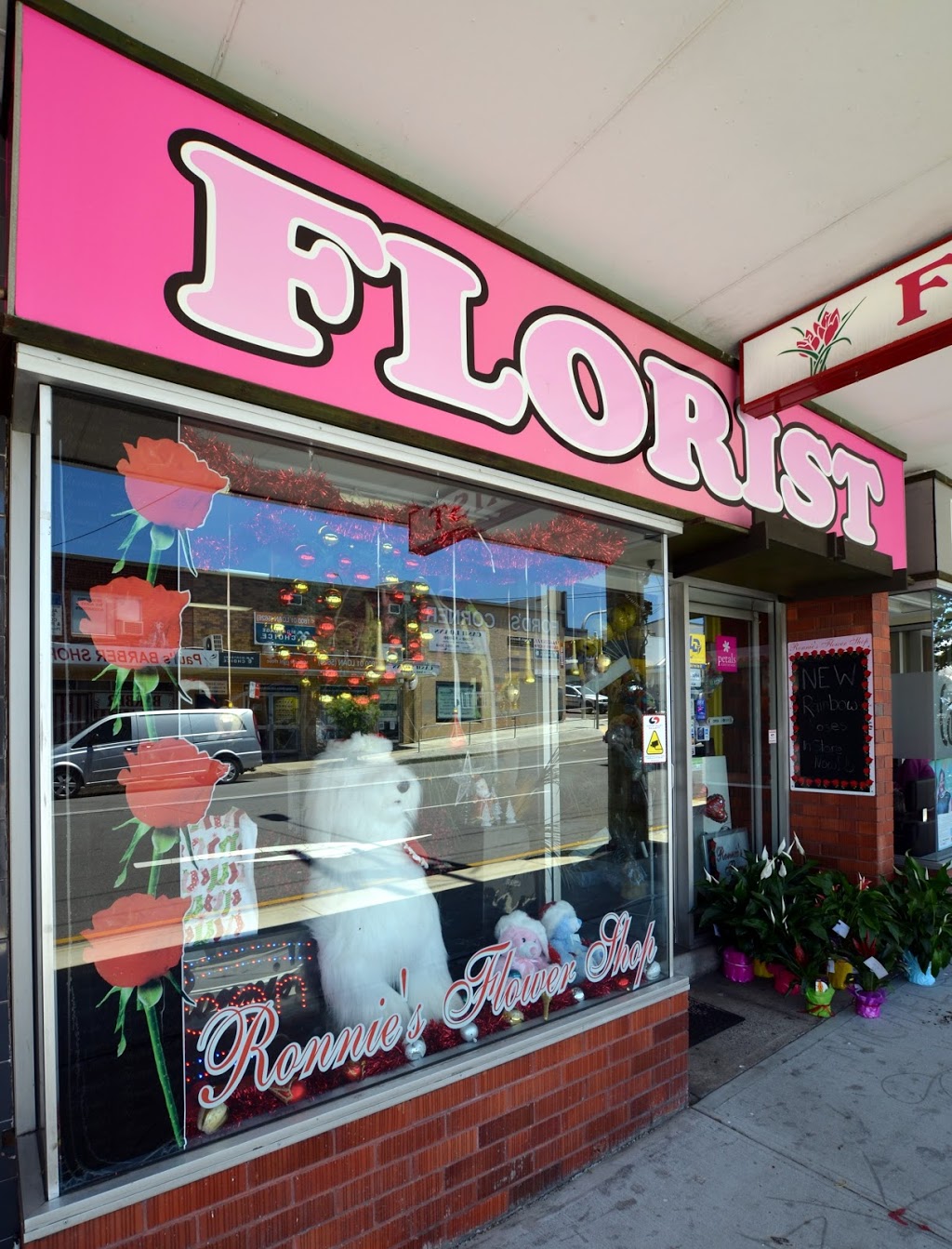 Ronnies Flower Shop | 41 Harrison St, Cardiff NSW 2285, Australia | Phone: (02) 4954 9397